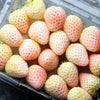 100 WHITE SOUL STRAWBERRY Fragaria Vesca Fruit Flower Berry Seeds