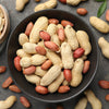 25 Seeds BAILEY II Virginia PEANUT Arachis Hypogaea Perennial Nut Plant