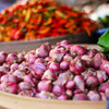 100 SCARLET BANDIT Bunching ONION Red Allium Cepa Vegetable Seeds