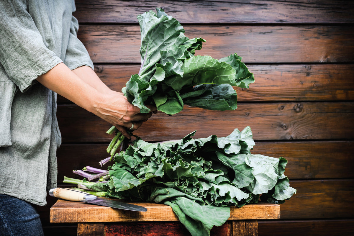 Morris Heading Collards Seeds – Collard Green Brassica Oleracea Vegetable