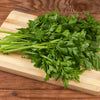 1000 GIANT ITALIAN Flat Leaf PARSLEY Petroselinum Crispum Neapolitanum Herb Vegetable Flower Seeds