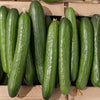 Long Green Improved Cucumber Slicing Cucumis Sativus Fruit Vegetable Seeds