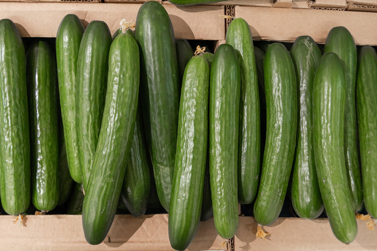 Long Green Improved Cucumber Slicing Cucumis Sativus Fruit Vegetable Seeds