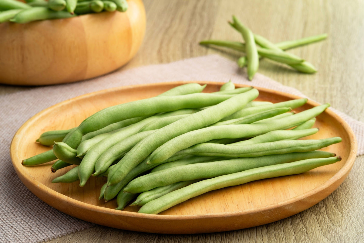 Greencrop Green Bean Seeds – Phaseolus Vulgaris Vegetable