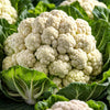250 SNOWBALL SELFBLANCHING CAULIFLOWER White Brassica Oleracea Vegetable Seeds