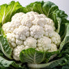 250 SNOWBALL SELFBLANCHING CAULIFLOWER White Brassica Oleracea Vegetable Seeds