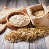 200 ORGANIC OAT Oats Avena Sativa Grain Vegetable Seeds