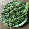 30 YARD LONG BEAN Asparagus Bean Cowpea Phaseolus Vulgaris Vegetable Seeds