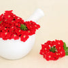 50 SCARLET VERBENA Red Nana Compacta Fragrant Flower Seeds