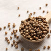 250 LEISURE CILANTRO / CORIANDER Coriandrum Sativum Herb Vegetable Seeds
