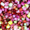150 RAINBOW MIX SWISS CHARD Mixed Colors Beta Vulgaris Vegetable Seeds