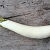 40 White Star FINGER FRUIT EGGPLANT Solanum Melongena Aubergine Fruit Vegetable Seeds