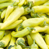 Hungarian Hot Wax Pepper (Hot Banana Pepper) Capsicum Annuum Vegetable Seeds – photo 6