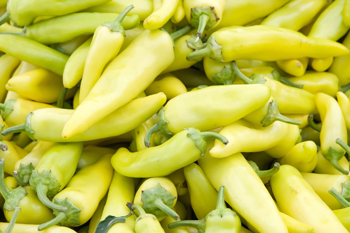 Hungarian Hot Wax Pepper (Hot Banana Pepper) Capsicum Annuum Vegetable Seeds – photo 6
