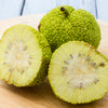 10 HEDGE APPLE Osage Orange Horse Apple Monkey Ball Maclura Pomifera Tree Seeds