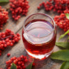 100 RED ELDERBERRY Sambucus Racemosa Scarlet Mountain Elder Bunchberry Tree Shrub Fruit Berry Seeds