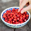 Vesca Baron Strawberry Seeds – Solemacher Berry Fragari Fruit – photo 9