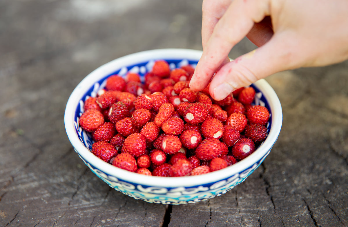 Vesca Baron Strawberry Seeds – Solemacher Berry Fragari Fruit – photo 9