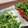 2000 SWEET GENOVESE BASIL Ocimum Basilicum Herb Flower Seeds