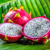 20 WHITE DRAGON FRUIT (Pitaya / Pitahaya / Strawberry Pear) Hylocereus Undatus Cactus Seeds
