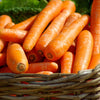 1500 SCARLET NANTES CARROT Daucus Carota Vegetable Seeds