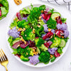 100 ROSSA Di VERONA RADICCHIO / Endive Italian Cichorium Intybus Vegetable Seeds