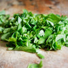 2000 CUTTING LEAF CELERY Apium Graveolens Soup Vegetable Herb Seeds
