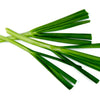 500 CHINESE LEEK (Oriental Garlic / Garlic Chives / Chinese Chives / Flat Chives) Allium Tuberosum Vegetable Seeds