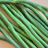 30 YARD LONG BEAN Asparagus Bean Cowpea Phaseolus Vulgaris Vegetable Seeds