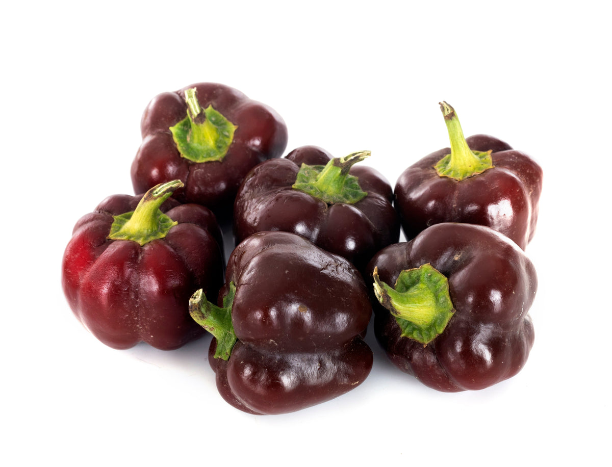 Chocolate Beauty Bell Pepper Sweet Brown Capsicum Annuum Vegetable Seeds – photo 6