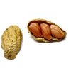 20 Seeds Early SPANISH PEANUT Arachis Hypogaea Perennial Nut Plant