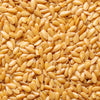 500 Organic GOLDEN FLAX Yellow Linseed Common Linum Flavum Flower Seeds