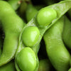 20 Edamame BE SWEET SOYBEAN Glycine Max Soy Bean Green / Yellow Vegetable Seeds