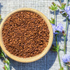 1000 CHICORY (Blue Daisy / Blue Sailors / Coffeeweed / Succory) Chicorium Cicorium Intybus Flower Herb Seeds