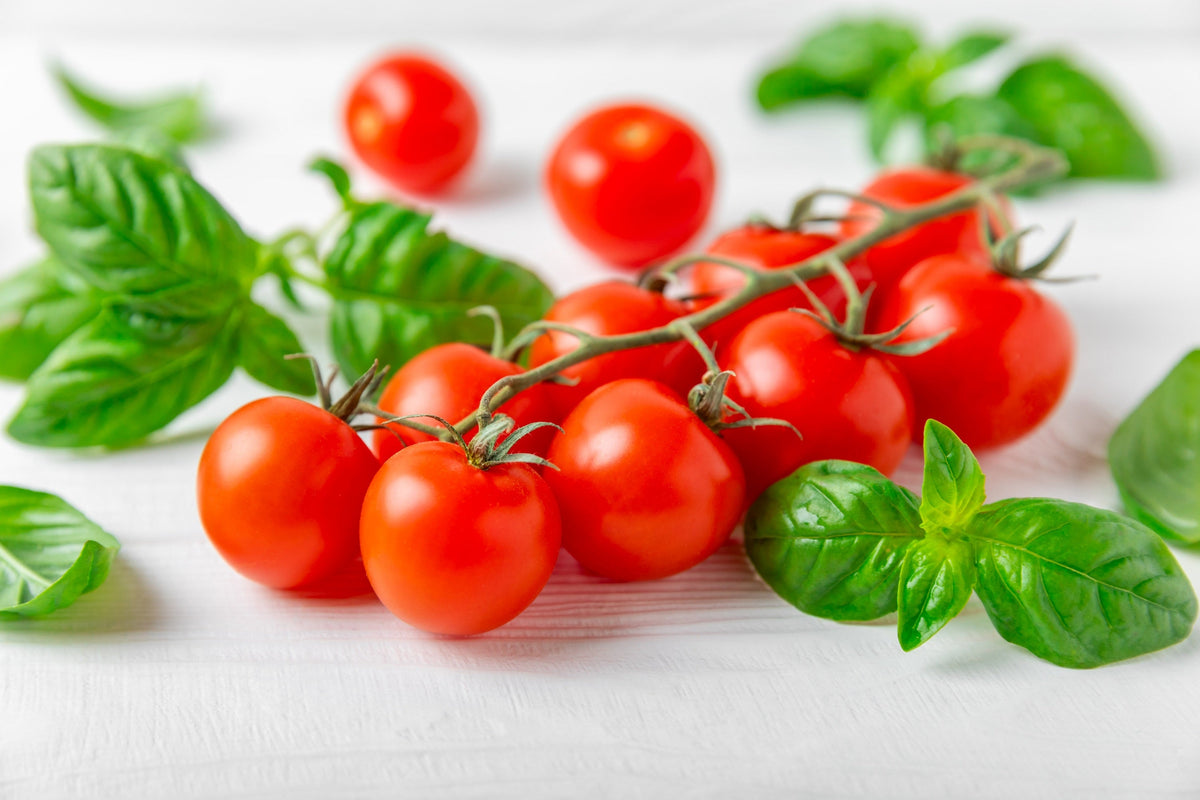 Small Red Cherry Tomato Lycopersicon Lycopersicum Fruit Vegetable Seeds – photo 4