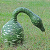 Gooseneck / Bottle / Swan Gourd Lagenaria Siceraria Vine Seeds – photo 6