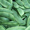 15 CHRISTMAS LIMA BEAN Calico Chestnut Phaseolus Lunatus Legume Vegetable Seeds