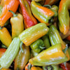 75 CUBANELLE PEPPER (Italian Sweets / Banana Pepper / Italian Frying Pepper) Capsicum Annuum Vegetable Seeds