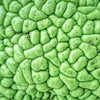 10 HEDGE APPLE Osage Orange Horse Apple Monkey Ball Maclura Pomifera Tree Seeds