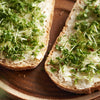 1000 Fine Curled PEPPERGRASS / PEPPERCRESS / WATERCRESS Lepidium Sativum Greens Sprouts Vegetable Sprouting Seeds