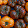 50 CHOCOLATE STRIPES TOMATO Brown with Green Lycopersicon Fruit Vegetable Seeds