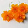 150 ORANGE SULPHUR COSMOS Klondike Sulphureus Seeds