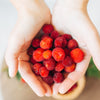 25 STRAWBERRY TREE Edible Red Berry Tree Arbutus Unedo Seeds Irish Killarney