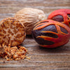 1 NUTMEG TREE Seed Myristica Fragrans Pala MACE Fruit Nut Pumpkin Pie Spice