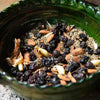 Pasilla Bajio Pepper Seeds – Mexican Chile Negro Capsicum Annuum Vegetable – photo 8