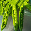 50 GREEN ARROW PEA Heirloom Shelling English Pisum Sativum Vegetable Seeds