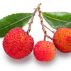 25 STRAWBERRY TREE Edible Red Berry Tree Arbutus Unedo Seeds Irish Killarney