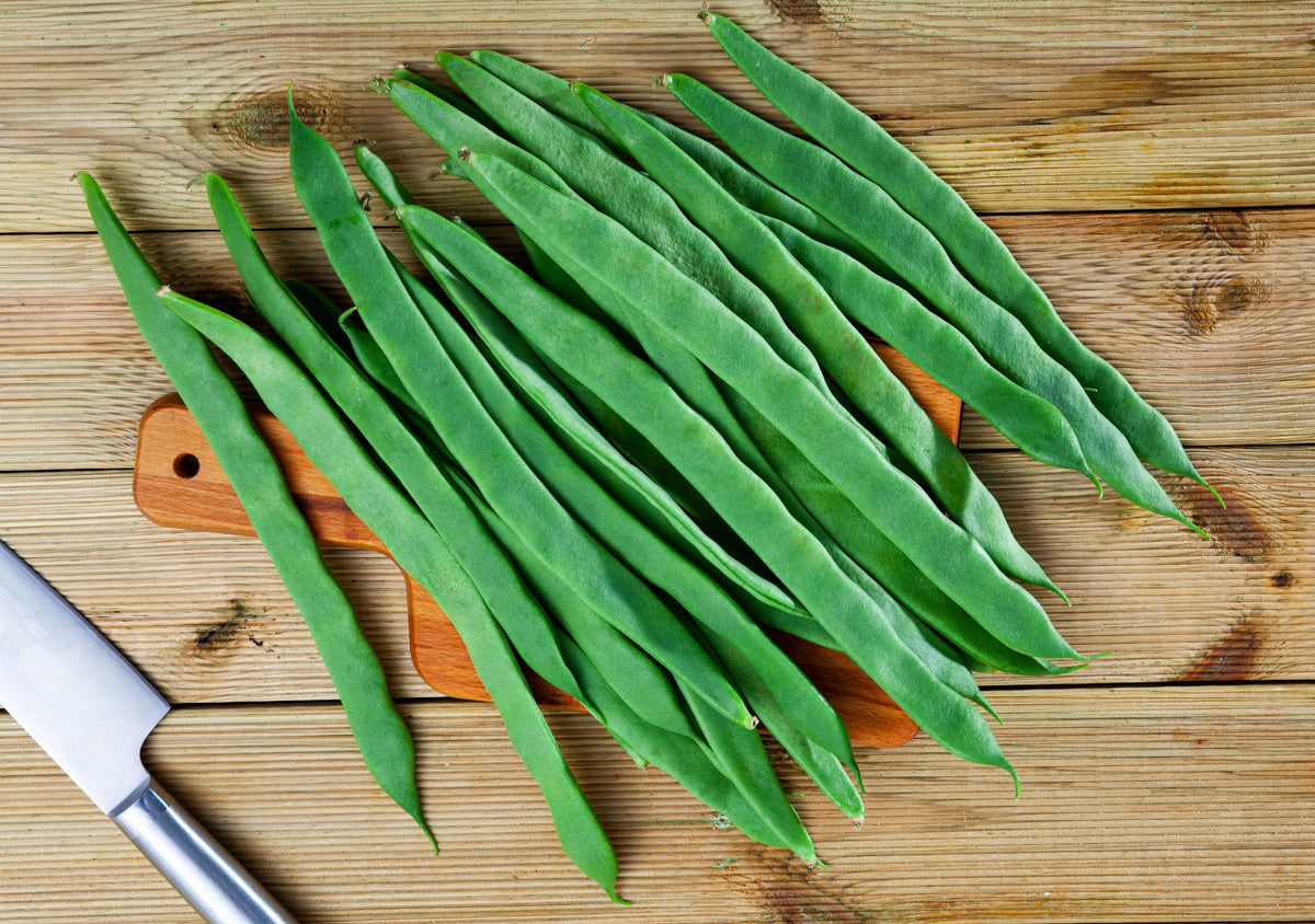 Romano Bush Bean Seeds – Italian Flat Green Pod Phaseolus Vulgaris Vegetable – photo 5