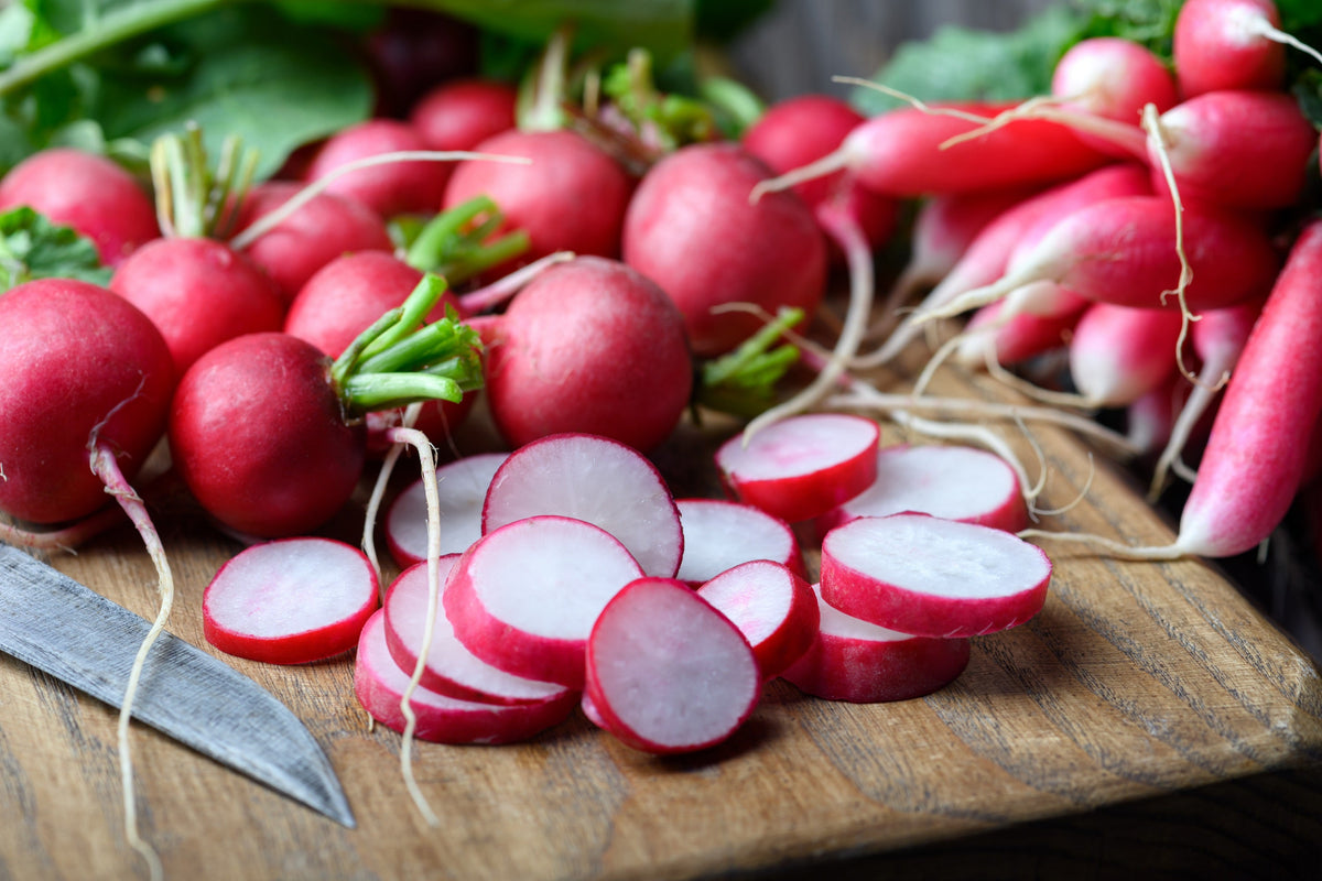 Champion Radish Seeds – Sweet Scarlet Red Raphanus Sativus Root Vegetable