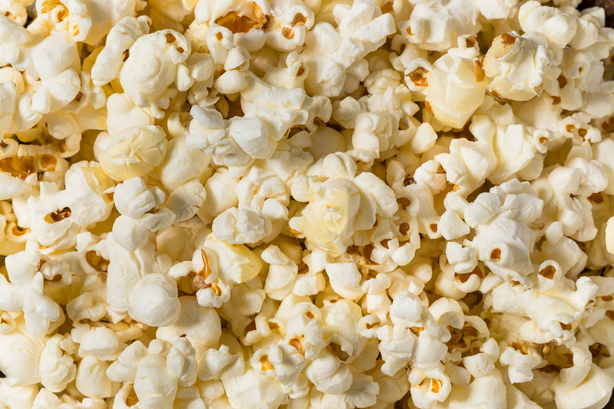 Lady Fingers Popcorn Seeds – Corn Zea Mays White Yellow Vegetable – photo 7
